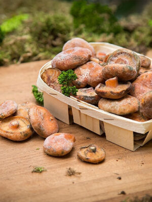 dondurulmus-kanlica-mantari-1-kg Dondurulmuş Kanlıca (1 Kg)