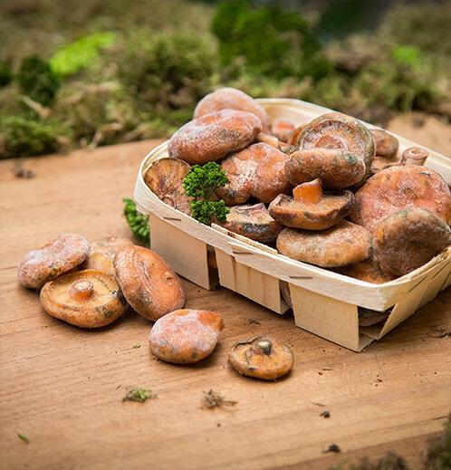 Dondurulmuş Kanlıca (1 Kg)