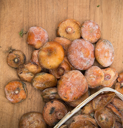 Dondurulmuş Kanlıca (500 Gr)