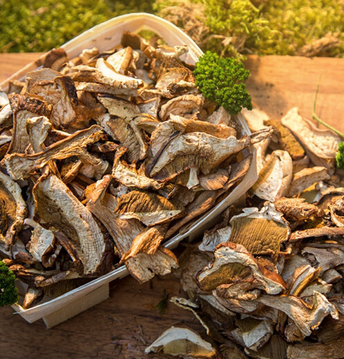 Kurutulmuş Porcini (250 Gr)