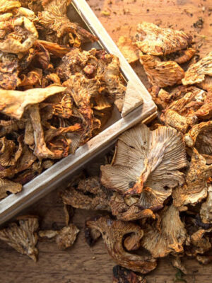 kurutulmus-sari-kiz-mantari-100-gr Kurutulmuş Sarıkız (100 Gr)