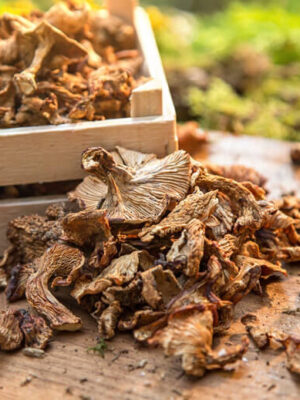 Kurutulmuş Sarıkız (40 Gr)